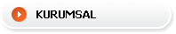 Kurumsal