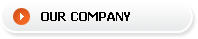 Our Company